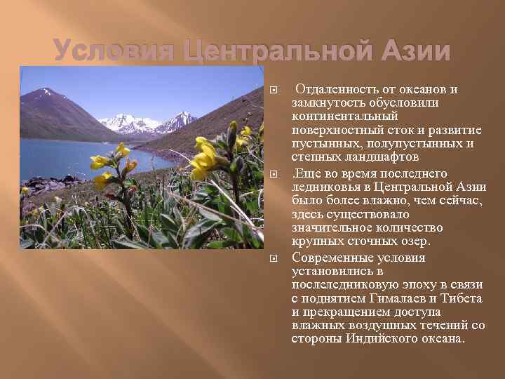 Условия Центральной Азии Отдаленность от океанов и замкнутость обусловили континентальный поверхностный сток и развитие