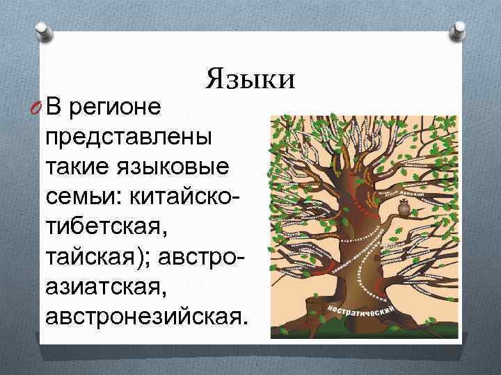 O В регионе Языки представлены такие языковые семьи: китайскотибетская, тайская); австроазиатская, австронезийская. 