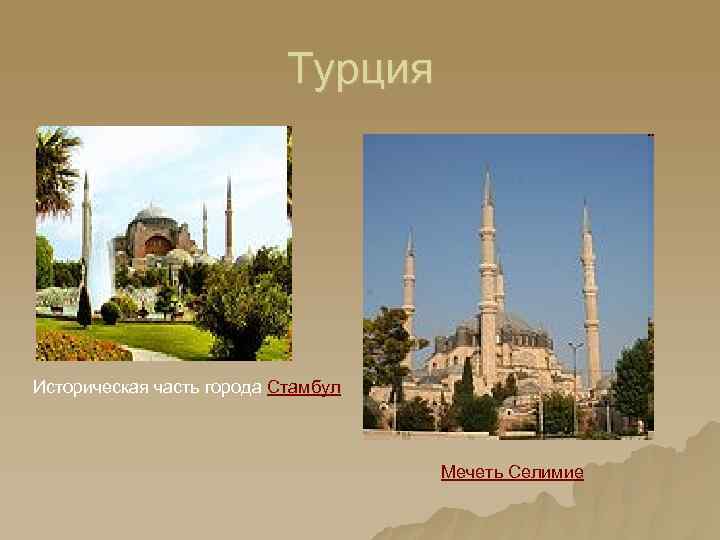 Турция Историческая часть города Стамбул Мечеть Селимие 