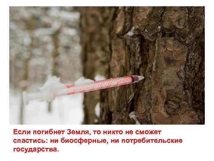 Если погибнет Земля, то никто не сможет спастись: ни биосферные, ни потребительские государства. 