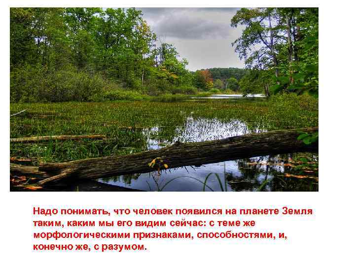 Надо понимать, что человек появился на планете Земля таким, каким мы его видим сейчас: