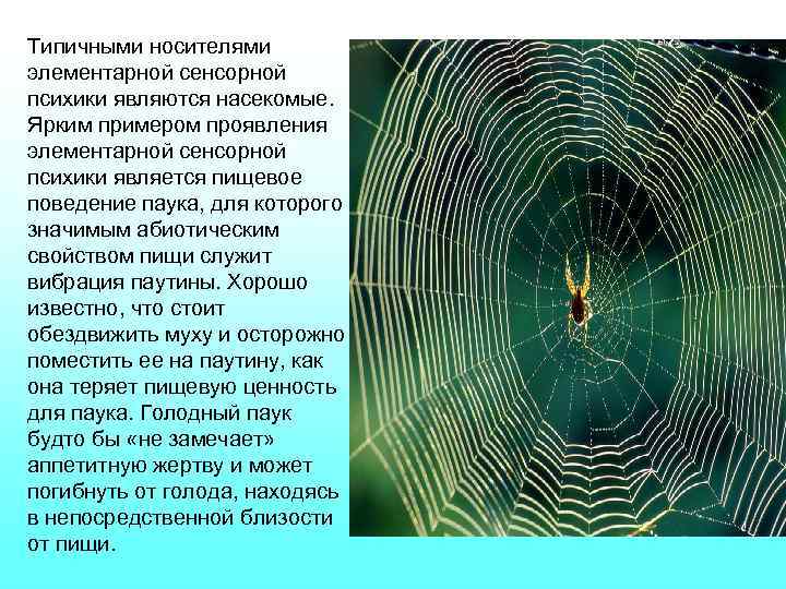 Типичными носителями элементарной сенсорной психики являются насекомые. Ярким примером проявления элементарной сенсорной психики является