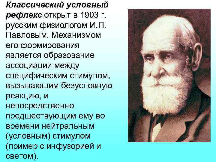 Автор учения об условных рефлексах. Условный рефлекс открыл. Открытие условных рефлексов.