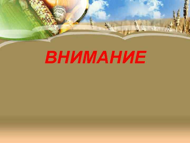 ВНИМАНИЕ 