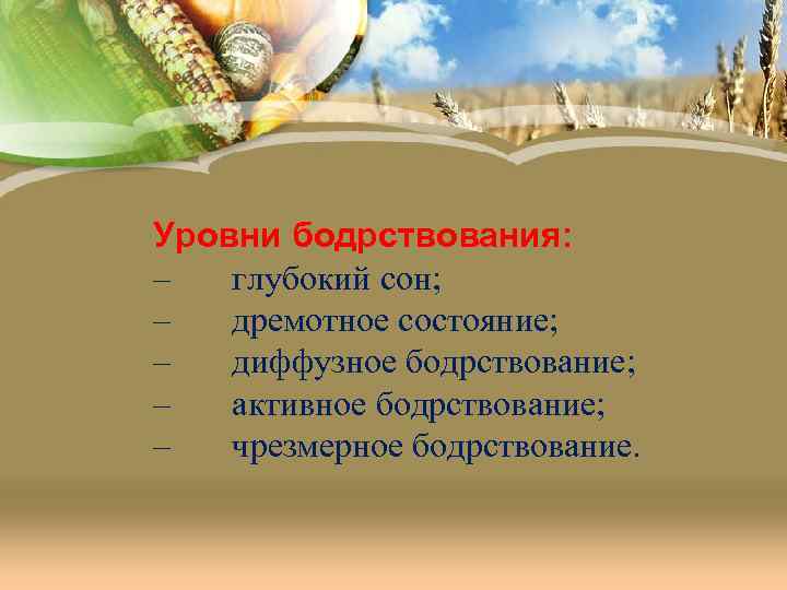 Уровни бодрствования: – глубокий сон; – дремотное состояние; – диффузное бодрствование; – активное бодрствование;