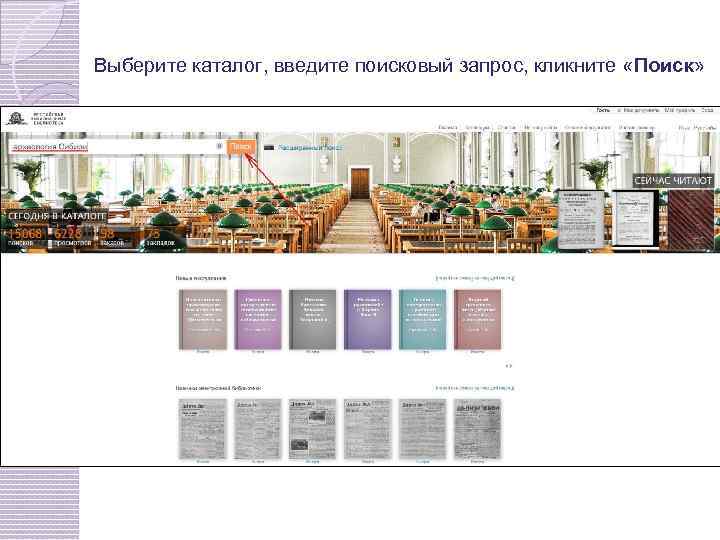 Выберите каталог, введите поисковый запрос, кликните «Поиск» 