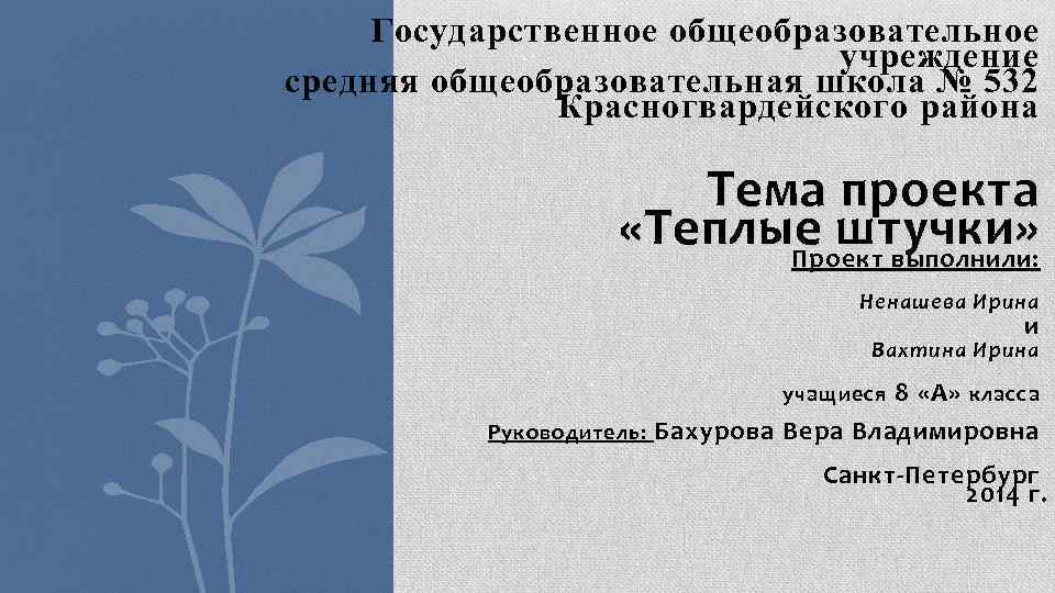 Государственное общеобразовательное учреждение средняя общеобразовательная школа № 532 Красногвардейского района Тема проекта «Теплые штучки
