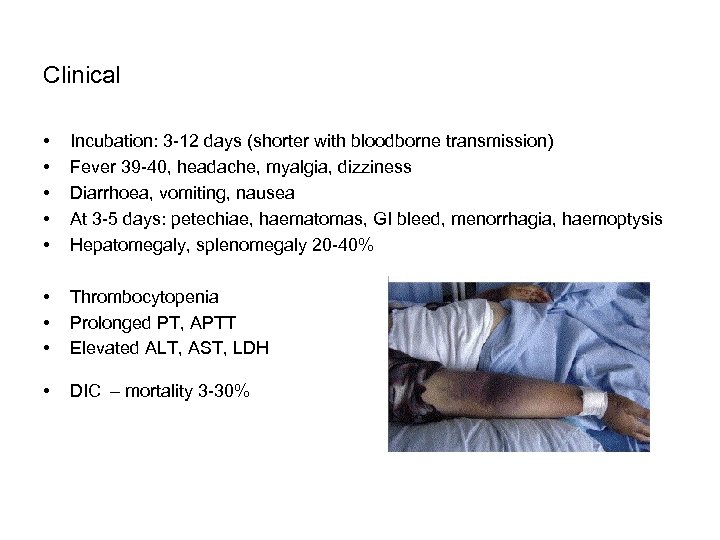 Clinical • • • Incubation: 3 -12 days (shorter with bloodborne transmission) Fever 39