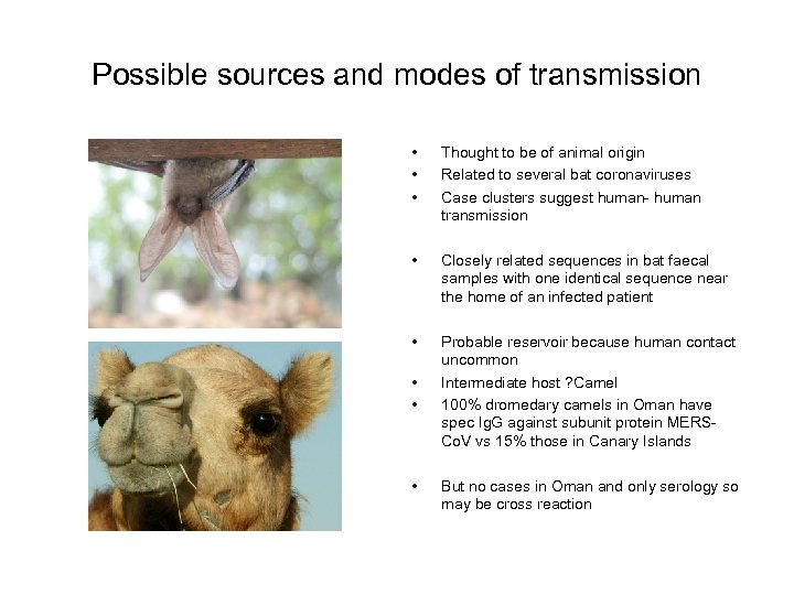 Possible sources and modes of transmission • • • Thought to be of animal
