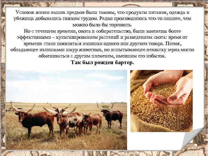 Условия жизни наших предков были таковы, что продукты питания, одежда и убежища добывались тяжким