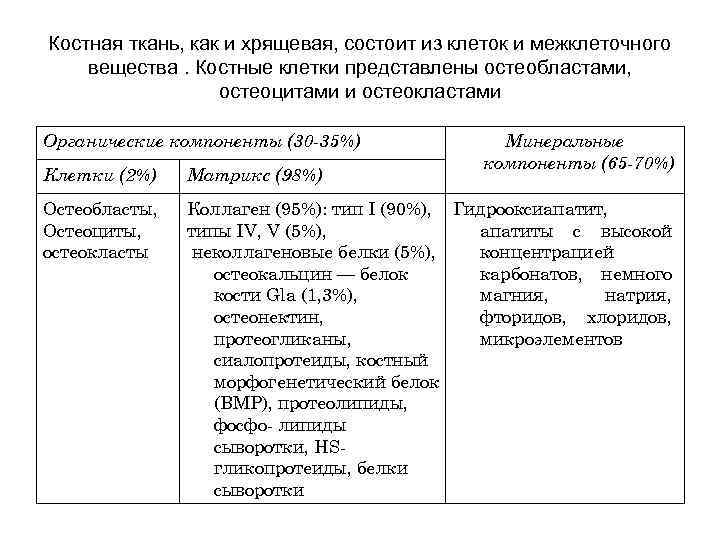 Костная ткань, как и хрящевая, состоит из клеток и межклеточного вещества. Костные клетки представлены