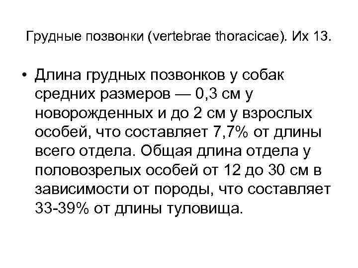 Грудные позвонки (vertebrae thoracicae). Их 13. • Длина грудных позвонков у собак средних размеров