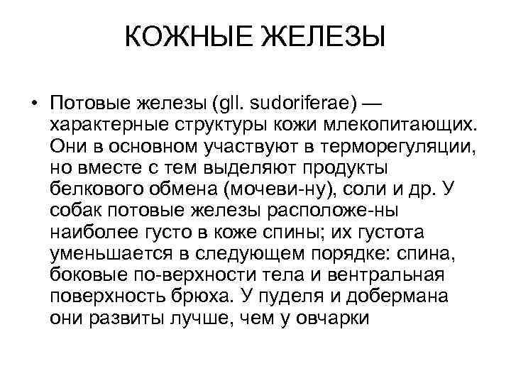 КОЖНЫЕ ЖЕЛЕЗЫ • Потовые железы (gll. sudoriferae) — характерные структуры кожи млекопитающих. Они в