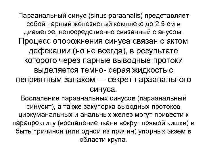 Параанальный синус (sinus paraanalis) представляет собой парный железистый комплекс до 2, 5 см в