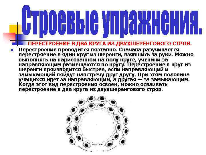 ПЕРЕСТРОЕНИЕ В ДВА КРУГА ИЗ ДВУХШЕРЕНГОВОГО СТРОЯ. Перестроение проводится поэтапно. Сначала разучивается перестроение в