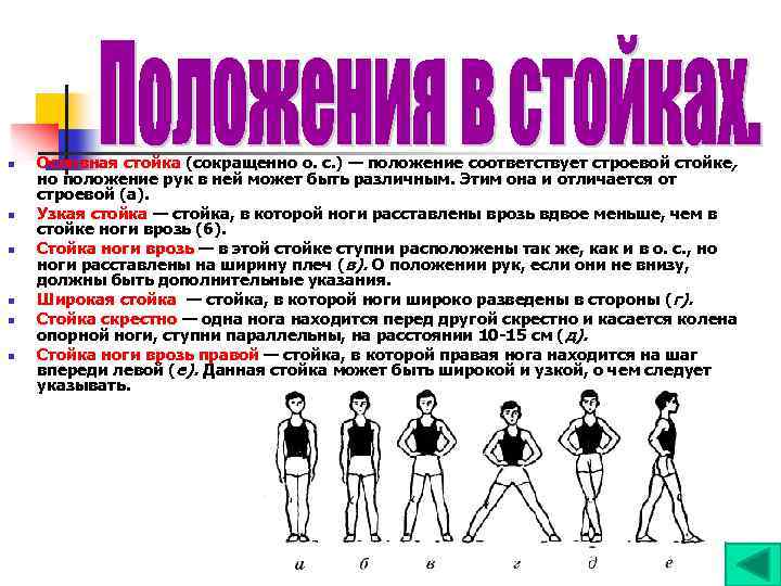 n n n Основная стойка (сокращенно о. с. ) — положение соответствует строевой стойке