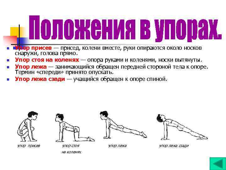 n n Упор присев — присед, колени вместе, руки опираются около носков снаружи, голова