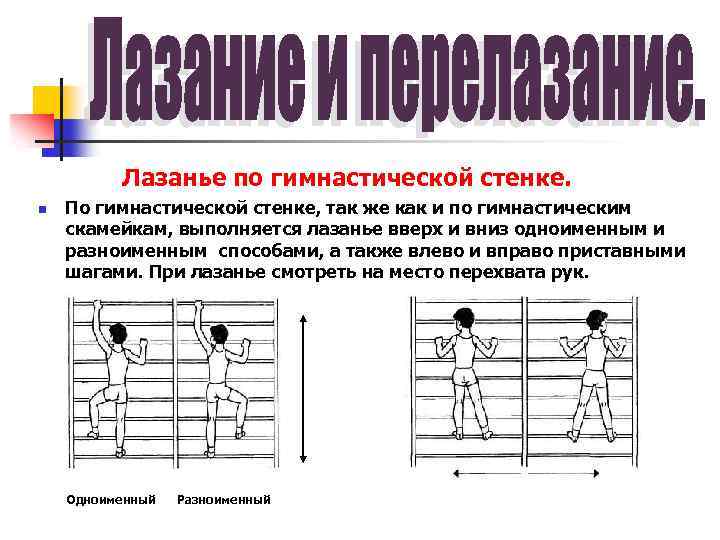 Лазанье по гимнастической стенке. n По гимнастической стенке, так же как и по гимнастическим