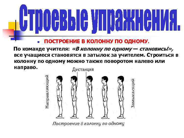 ПОСТРОЕНИЕ В КОЛОННУ ПО ОДНОМУ. По команде учителя: «В колонну по одному — становись!»