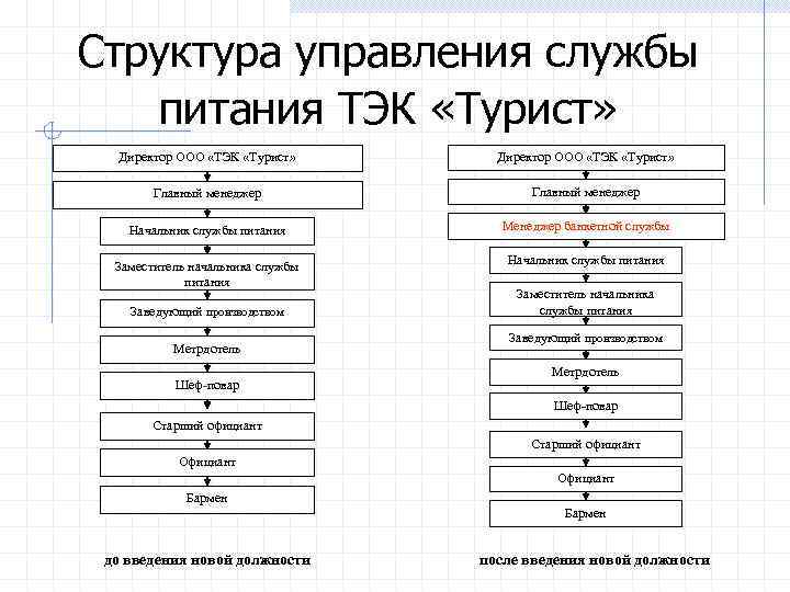 Структура управления службы питания ТЭК «Турист» Директор ООО «ТЭК «Турист» Главный менеджер Начальник службы