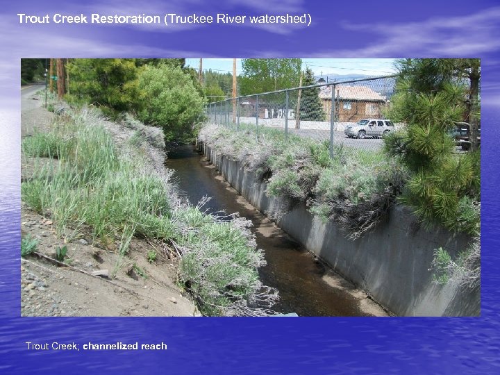Trout Creek Restoration (Truckee River watershed) Trout Creek; channelized reach 