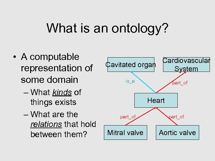 What is an ontology? • A computable representation of some domain – What kinds