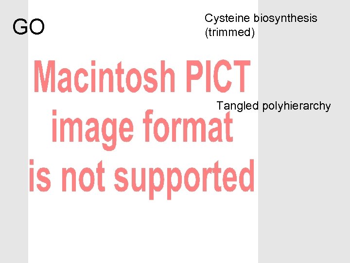 GO Cysteine biosynthesis (trimmed) Tangled polyhierarchy 