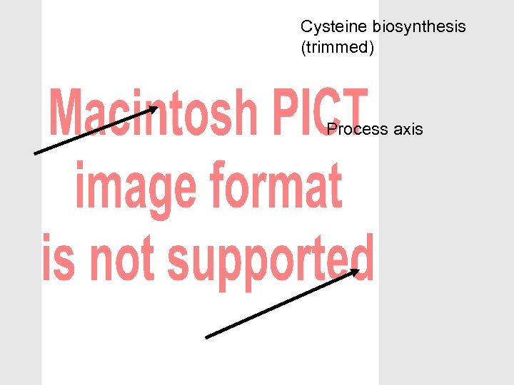 Cysteine biosynthesis (trimmed) Process axis 