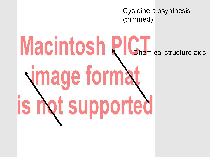 Cysteine biosynthesis (trimmed) Chemical structure axis 