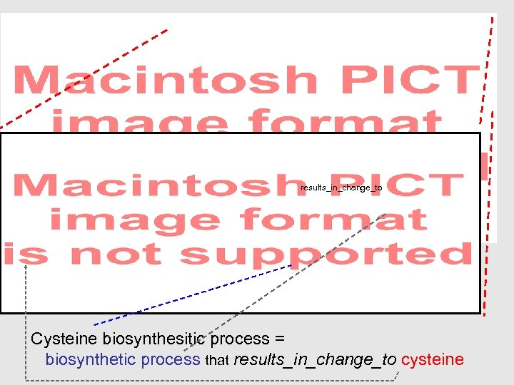 results_in_change_to Cysteine biosynthesitic process = biosynthetic process that results_in_change_to cysteine 