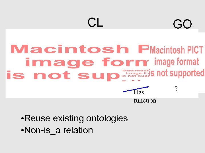 CL GO X Has function • Reuse existing ontologies • Non-is_a relation ? 