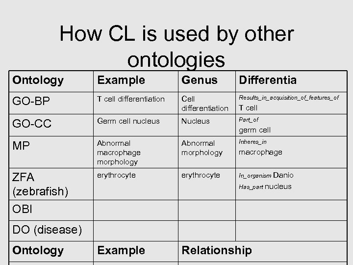 How CL is used by other ontologies Ontology Example Genus Differentia GO-BP T cell