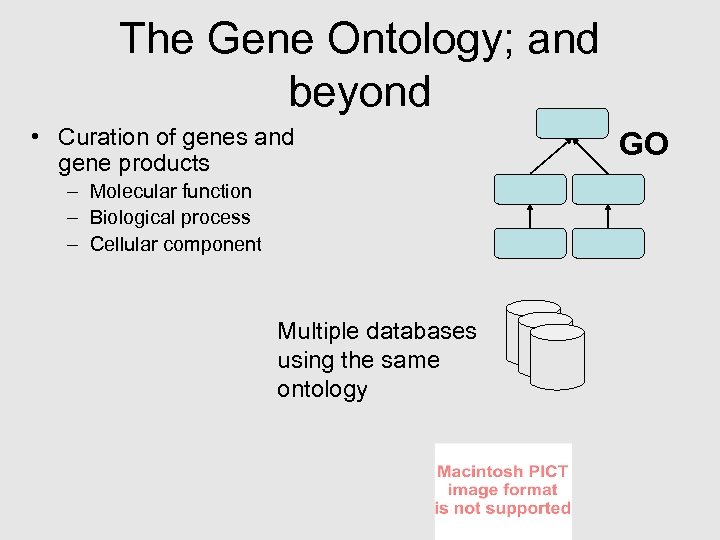 The Gene Ontology; and beyond • Curation of genes and gene products – Molecular