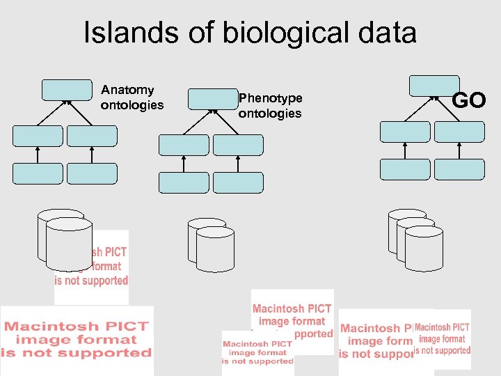 Islands of biological data Anatomy ontologies Phenotype ontologies GO 