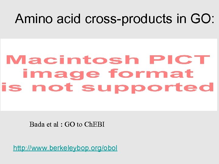 Amino acid cross-products in GO: Bada et al : GO to Ch. EBI http: