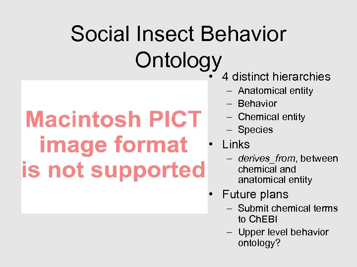 Social Insect Behavior Ontology • 4 distinct hierarchies – – Anatomical entity Behavior Chemical