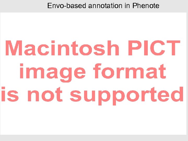 Envo-based annotation in Phenote 