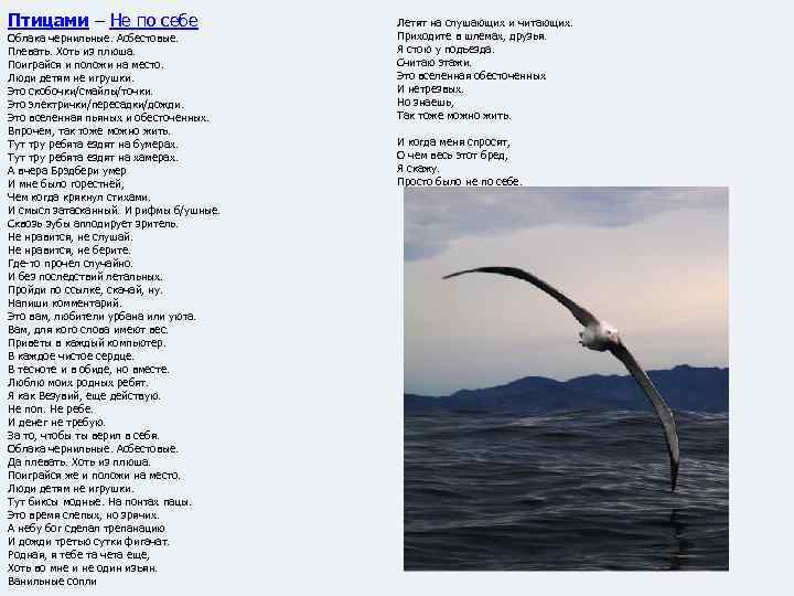 Птицами – Не по себе Облака чернильные. Асбестовые. Плевать. Хоть из плюша. Поиграйся и