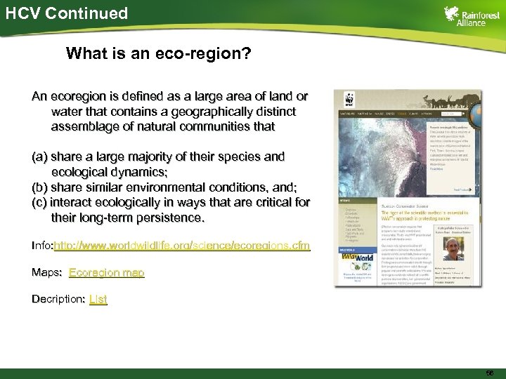 HCV Continued What is an eco-region? An ecoregion is defined as a large area