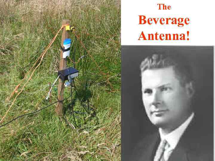 The Beverage Antenna! 