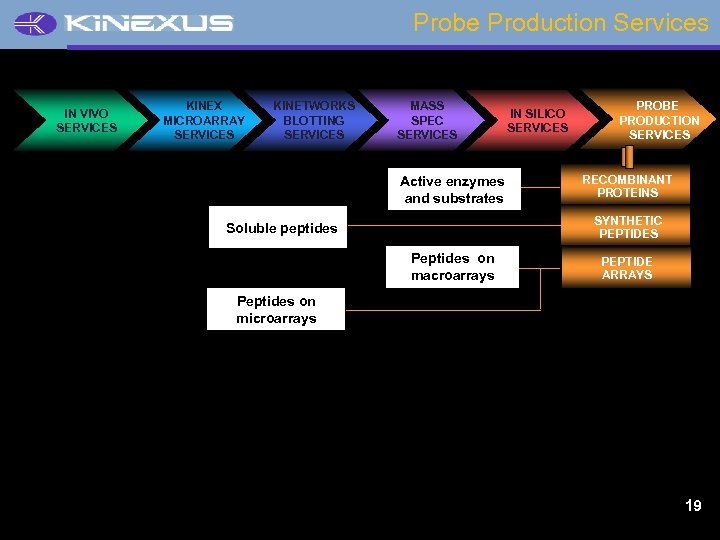 Probe Production Services IN VIVO SERVICES KINEX MICROARRAY SERVICES KINETWORKS BLOTTING SERVICES MASS SPEC