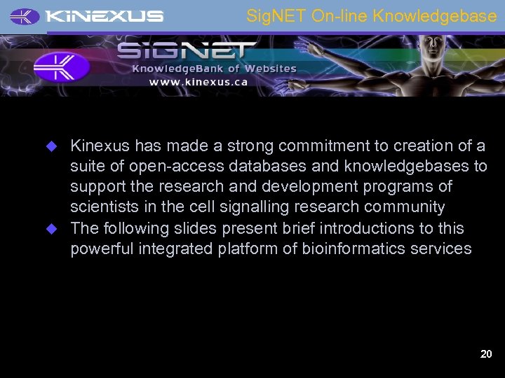 Sig. NET On-line Knowledgebase Kinexus has made a strong commitment to creation of a