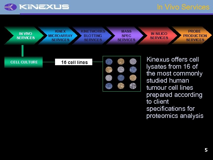 In Vivo Services IN VIVO SERVICES CELL CULTURE KINEX MICROARRAY SERVICES KINETWORKS BLOTTING SERVICES