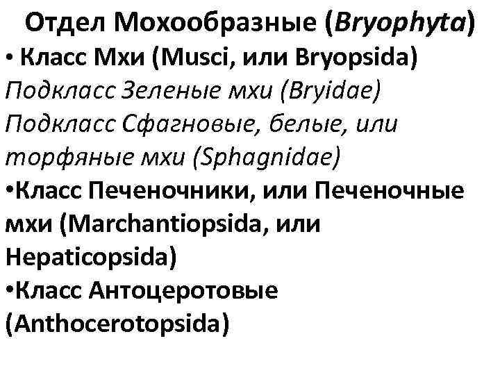 Отдел Мохообразные (Bryophyta) • Класс Мхи (Musci, или Bryopsida) Подкласс Зеленые мхи (Bryidae) Подкласс