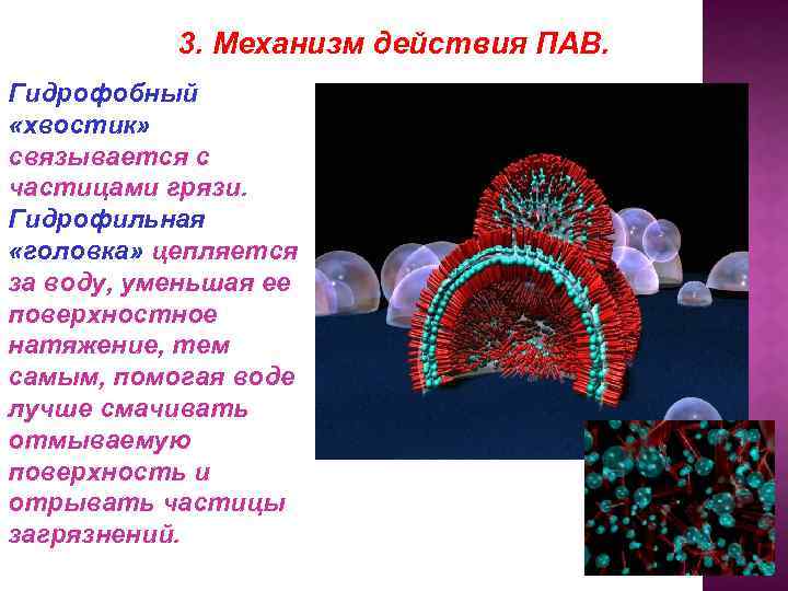 3. Механизм действия ПАВ. Гидрофобный «хвостик» связывается с частицами грязи. Гидрофильная «головка» цепляется за