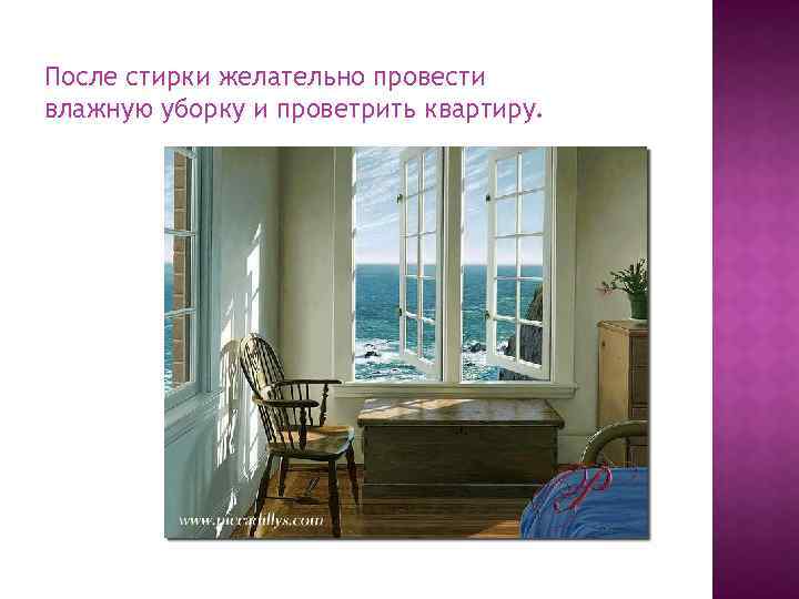 После стирки желательно провести влажную уборку и проветрить квартиру. 