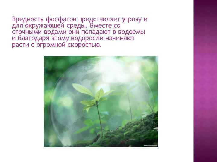 Вредность фосфатов представляет угрозу и для окружающей среды. Вместе со сточными водами они попадают