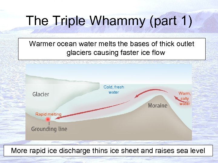 The Triple Whammy (part 1) Warmer ocean water melts the bases of thick outlet