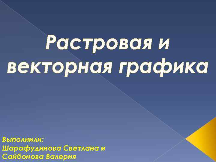 Растровая и векторная графика Выполнили: Шарафудинова Светлана и Сайбонова Валерия 