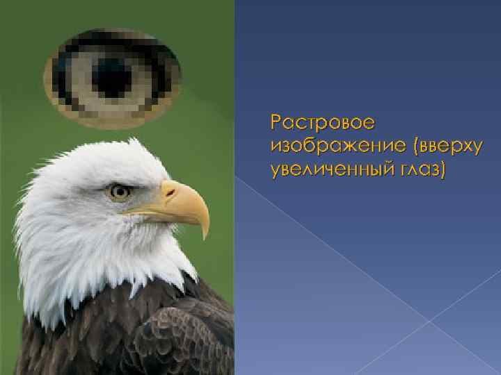 Растровое изображение (вверху увеличенный глаз) 